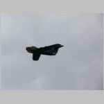 Flugtag _Lehrte_2010_071.jpg